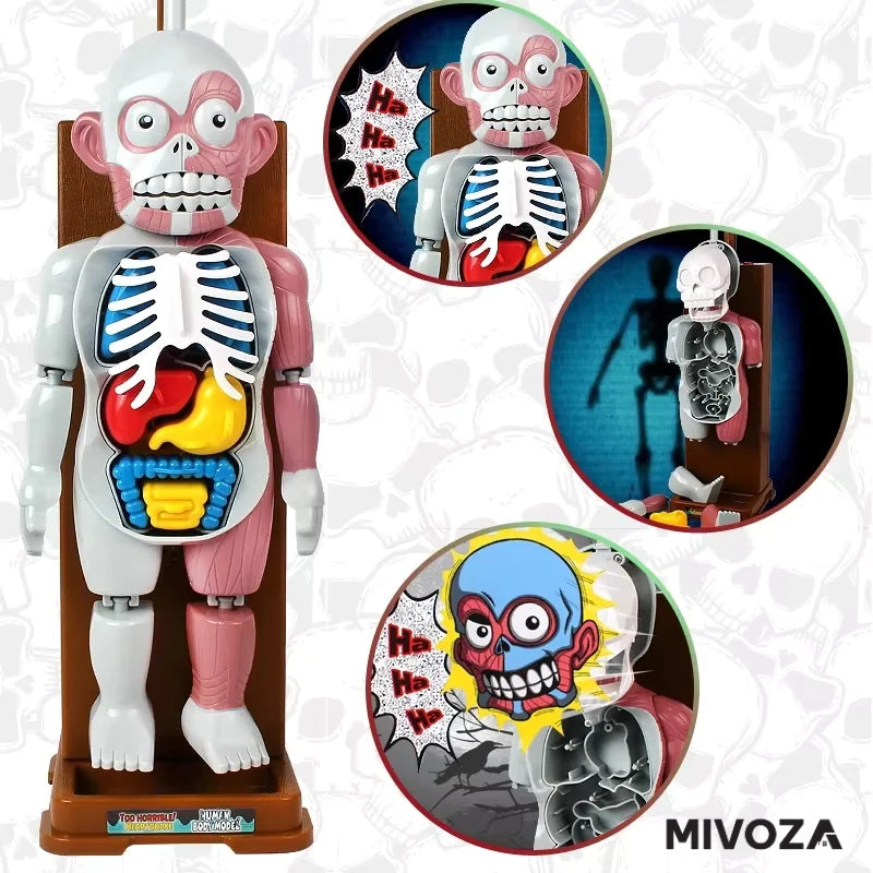 OrganCreep™ Griezelig Menselijk Lichaam Model | 50% korting