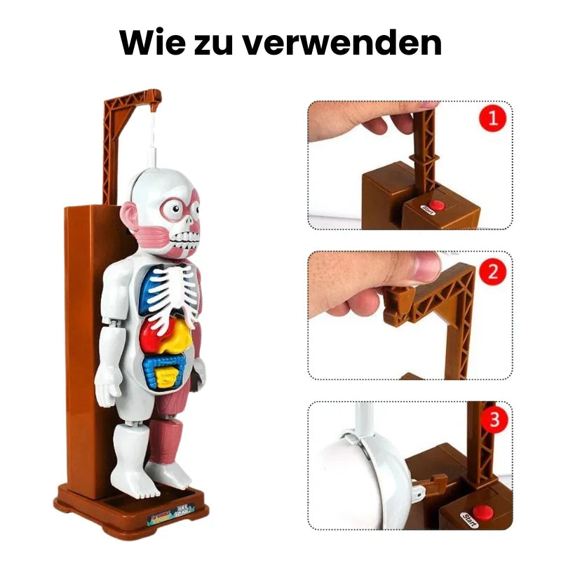 OrganCreep™ Griezelig Menselijk Lichaam Model | 50% korting