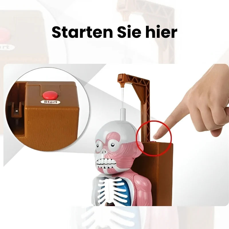OrganCreep™ Griezelig Menselijk Lichaam Model | 50% korting